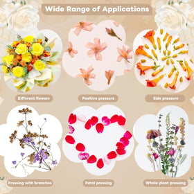 Zunmial ultra-thin rice paper protects fragile petals during moisture removal.